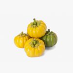 suscipit lobortis nisl