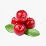 feugiat nulla facilisis