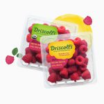 Beetroot juice