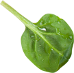cdn_helper