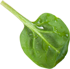 cdn_helper